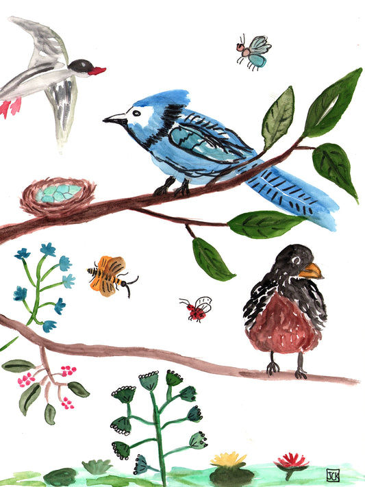 Blue Jay Enjoying Nature