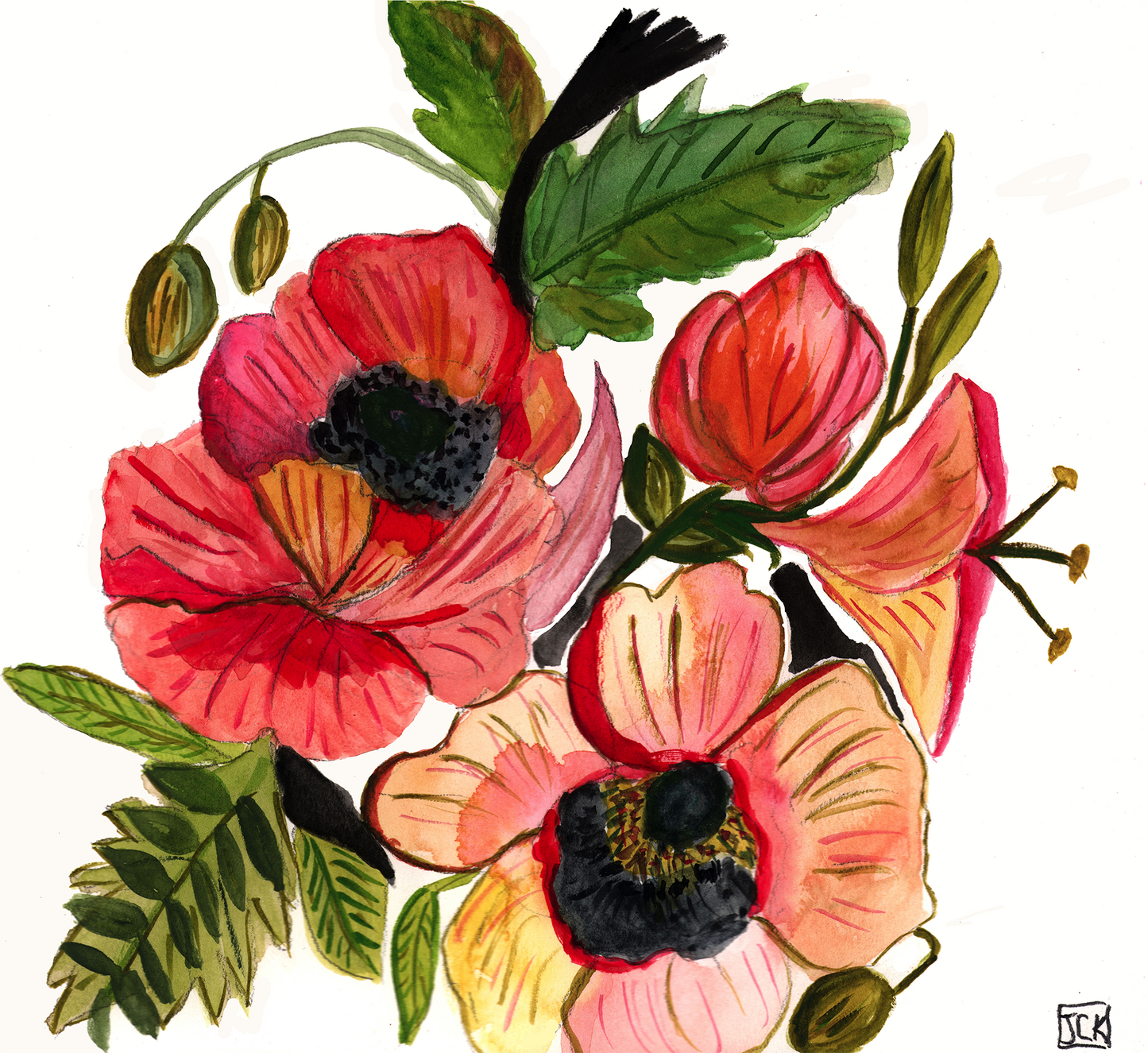 Bold Poppies