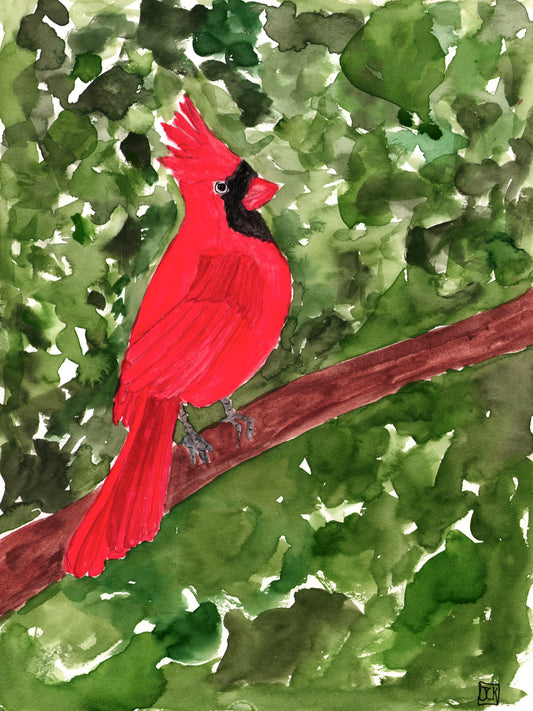 Cardinal in  a Tree