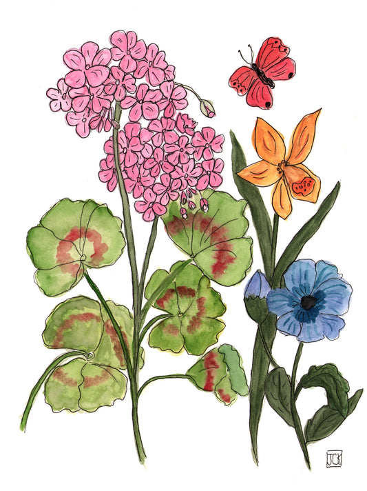 Geraniums and Friends