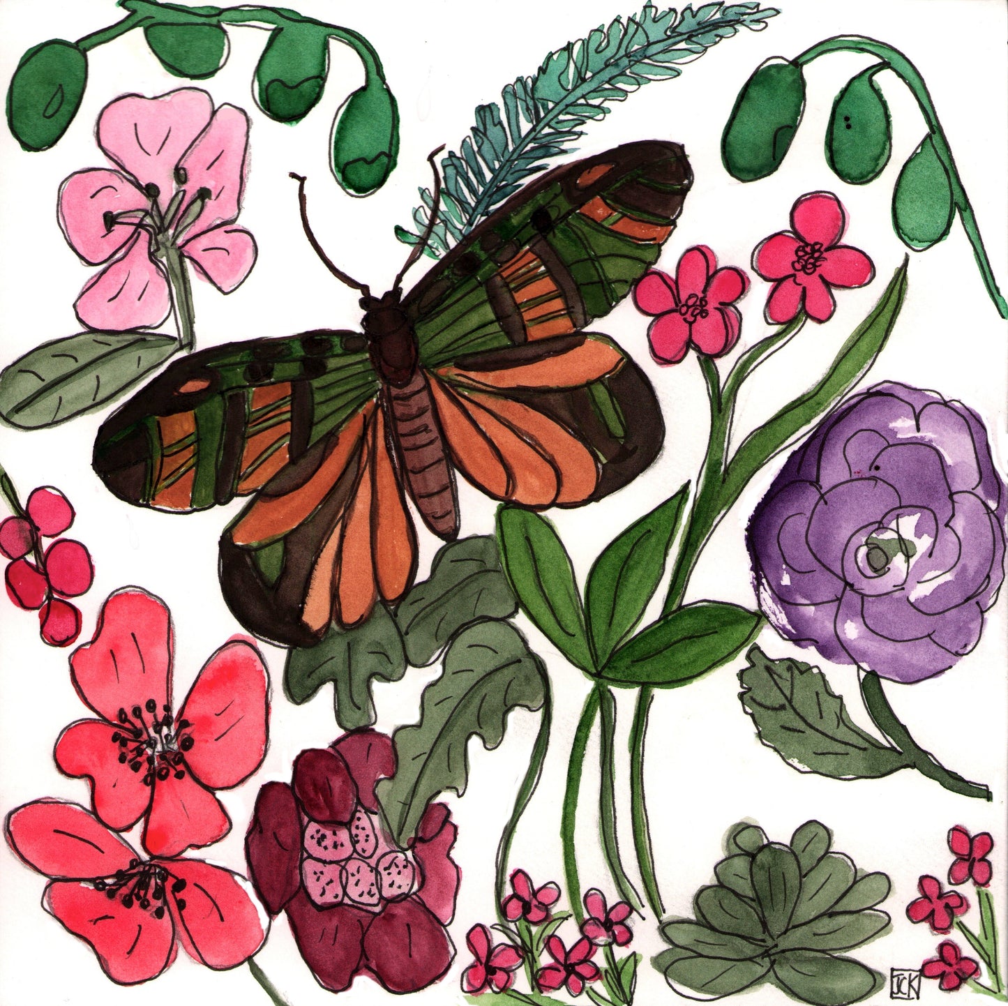 Butterfly Series #1