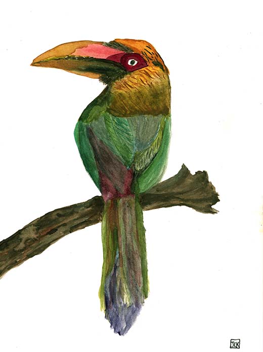 Parrot on a Branch