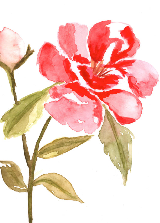 Pink and Red Peony Blank Card