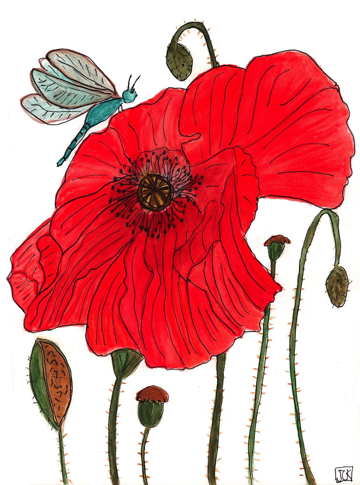 Red Blossom with Dragonfly