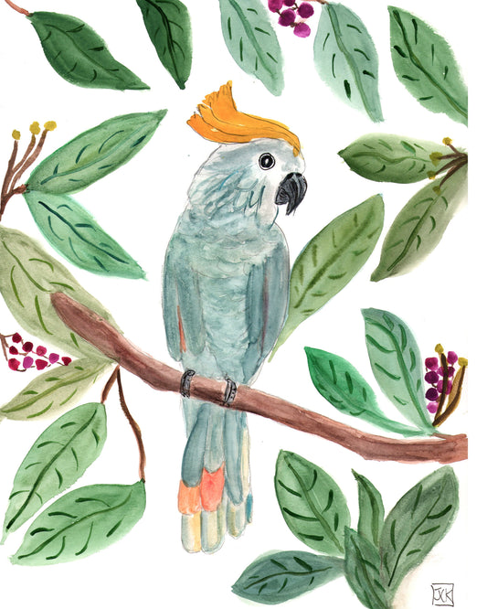 Yellow Feathered Cockatoo